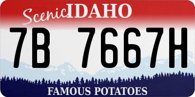 ID license plate 7B7667H