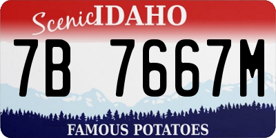 ID license plate 7B7667M
