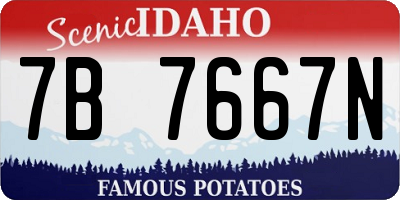 ID license plate 7B7667N