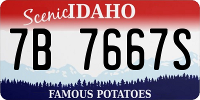 ID license plate 7B7667S