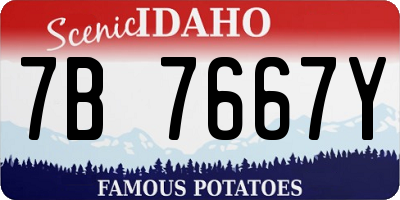 ID license plate 7B7667Y