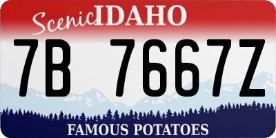 ID license plate 7B7667Z