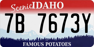 ID license plate 7B7673Y