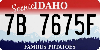 ID license plate 7B7675F