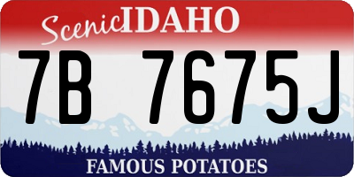 ID license plate 7B7675J