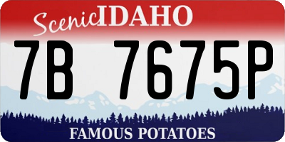 ID license plate 7B7675P