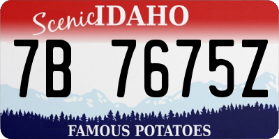 ID license plate 7B7675Z