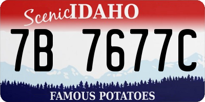 ID license plate 7B7677C