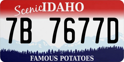 ID license plate 7B7677D