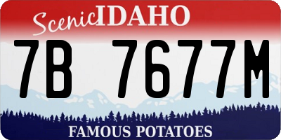 ID license plate 7B7677M