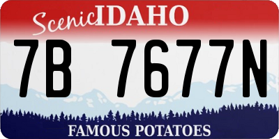 ID license plate 7B7677N