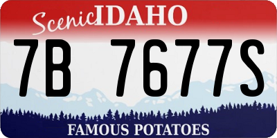 ID license plate 7B7677S