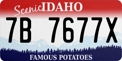 ID license plate 7B7677X