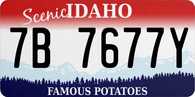 ID license plate 7B7677Y