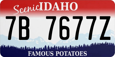 ID license plate 7B7677Z