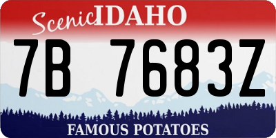 ID license plate 7B7683Z