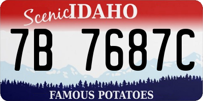 ID license plate 7B7687C