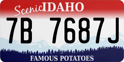 ID license plate 7B7687J