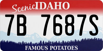 ID license plate 7B7687S
