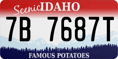 ID license plate 7B7687T