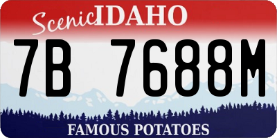 ID license plate 7B7688M
