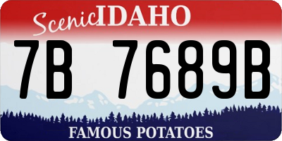 ID license plate 7B7689B