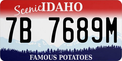 ID license plate 7B7689M