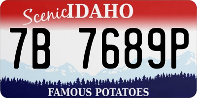 ID license plate 7B7689P