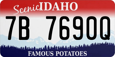 ID license plate 7B7690Q