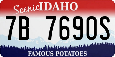 ID license plate 7B7690S