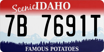 ID license plate 7B7691T