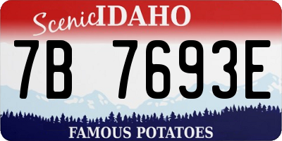 ID license plate 7B7693E
