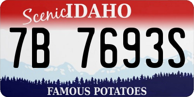 ID license plate 7B7693S