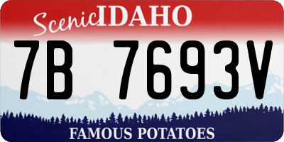 ID license plate 7B7693V