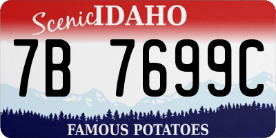 ID license plate 7B7699C