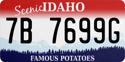 ID license plate 7B7699G