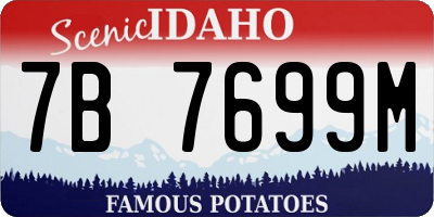 ID license plate 7B7699M