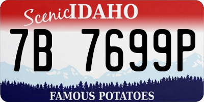ID license plate 7B7699P