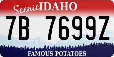ID license plate 7B7699Z