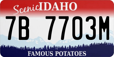 ID license plate 7B7703M