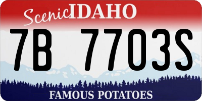 ID license plate 7B7703S