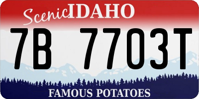 ID license plate 7B7703T