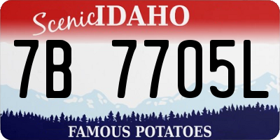 ID license plate 7B7705L