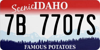 ID license plate 7B7707S
