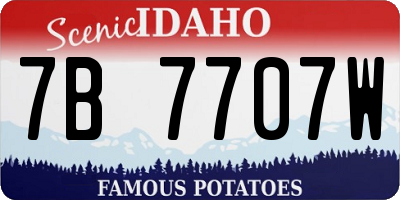 ID license plate 7B7707W