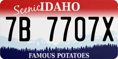 ID license plate 7B7707X