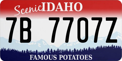 ID license plate 7B7707Z