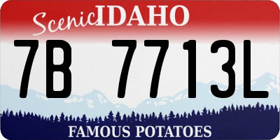 ID license plate 7B7713L