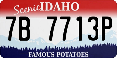 ID license plate 7B7713P