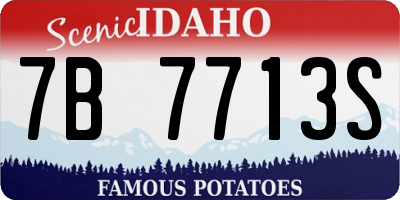 ID license plate 7B7713S